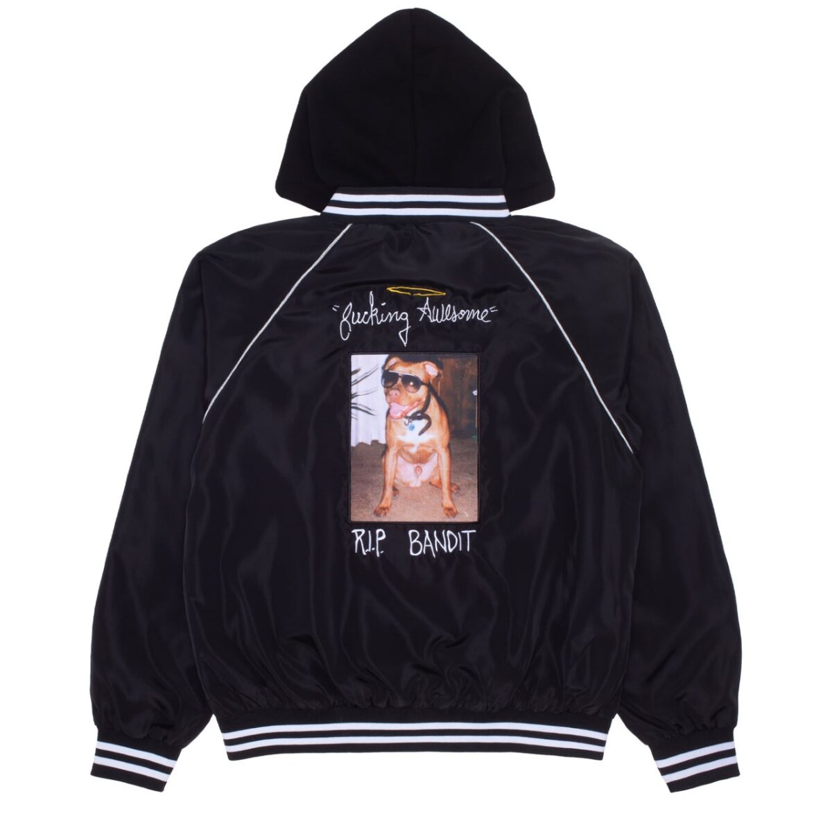 fucking-awesome-R.I.P.-Bandit-Lightweight-Bomber-